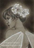 Night Lily Fairy